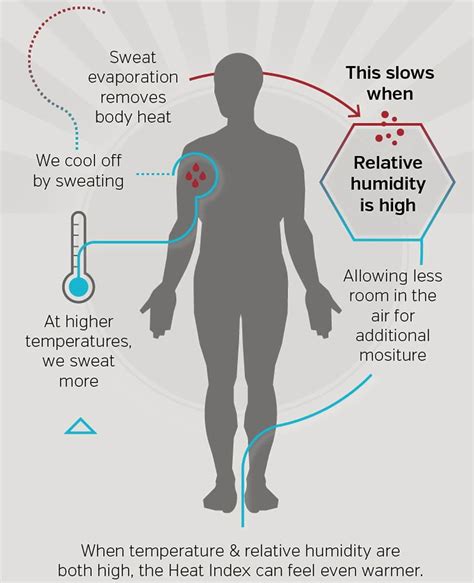 How Heat Affects the Body