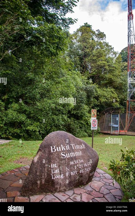 How High Is Bukit Timah Hill 2025: VS 163.6M