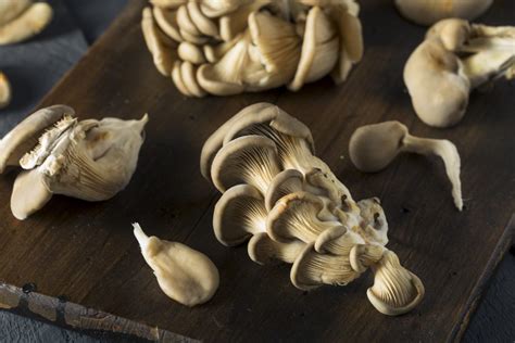 How Long Can Mushrooms Last in the Fridge: 2025 Ultimate Guide