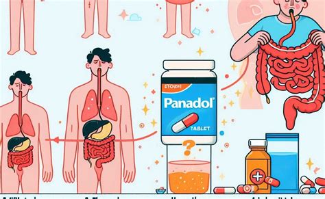 How Long Does It Take for Panadol to Work: 2025 Guide