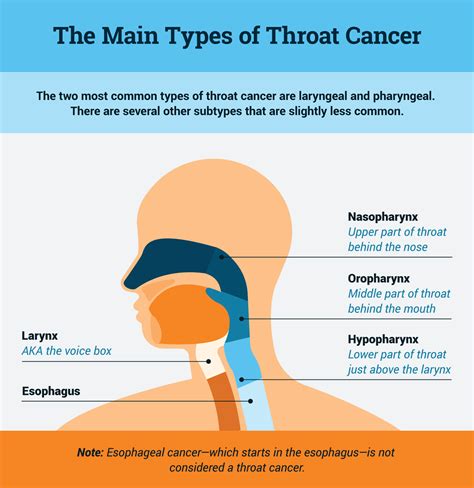 How Long Does It Take to Get Throat Cancer: Astonishing 2025 Statistics