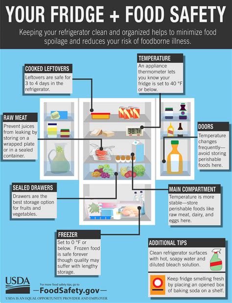 How Long Does This Last A Comprehensive Guide To Storing Food In Your Fridge Reader