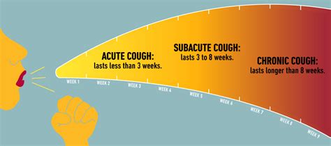 How Long Does a Cough Last: 2025 Edition