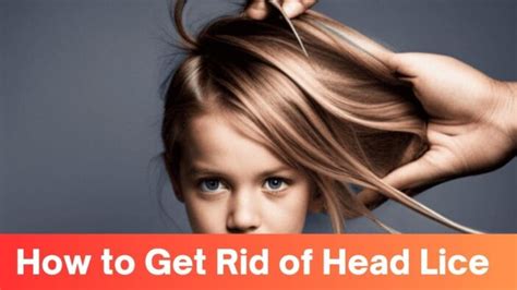 How Long to Get Rid of Lice: A Comprehensive Guide