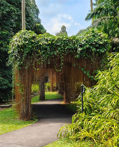 How Long to Visit Singapore Botanic Gardens in 2025: A Comprehensive Guide