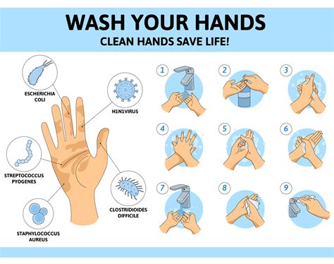 How Many Steps to Wash Your Hands: A Comprehensive Guide for 2025