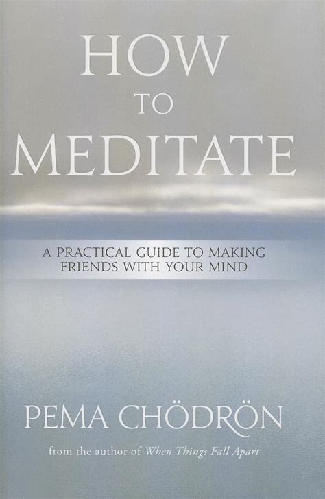 How Meditate Practical Making Friends Doc