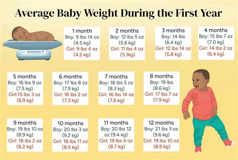 How Much Does a 1 Month Old Weigh: An Ultimate Guide (2025)