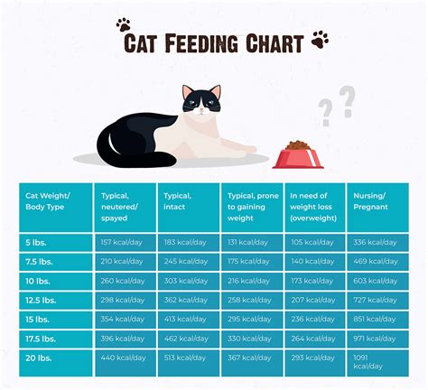 How Much Feed Cat Chart