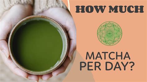 How Much Green Tea Can You Drink in One Day: 2025 Edition