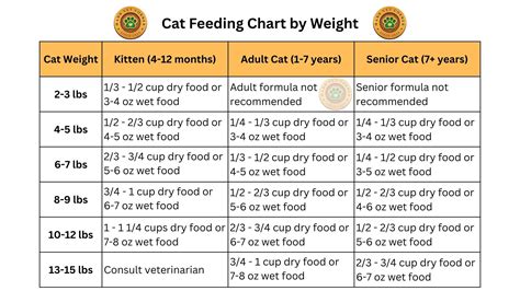 How Much To Feed A Cat Chart Cups Per Day