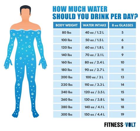 How Much Water to Drink a Day Calculator: Stay Hydrated for Optimal Health!