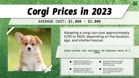 How Much is a Corgi: 2023 Price Unveiled