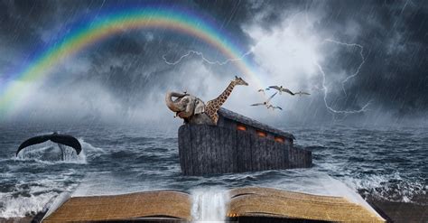 How Noah's Hope Can Help You