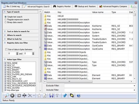 How Registry Monitoring Services Work