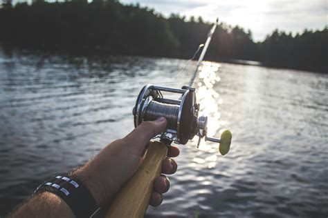 How Speed Spool Bearings Enhance Fishing Reel Performance: A Comprehensive Guide