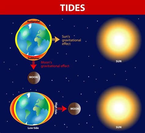 How Tides Work