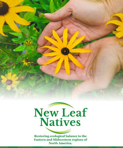 How To Check Your Catalog In New Leaf