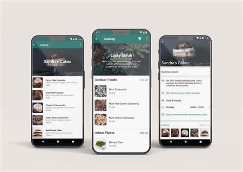 How To Create A Catalog In Whatsapp Business