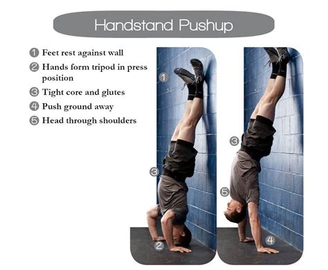How To Do A Handstand From The Basic Exercises To The Free Standing Handstand Pushup Epub