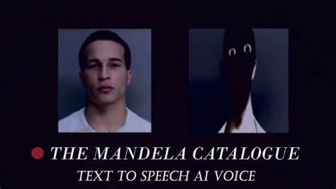 How To Do The Mandela Catalogue Voice