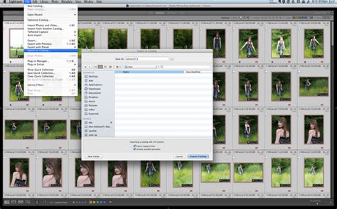 How To Export Lightroom Catalog