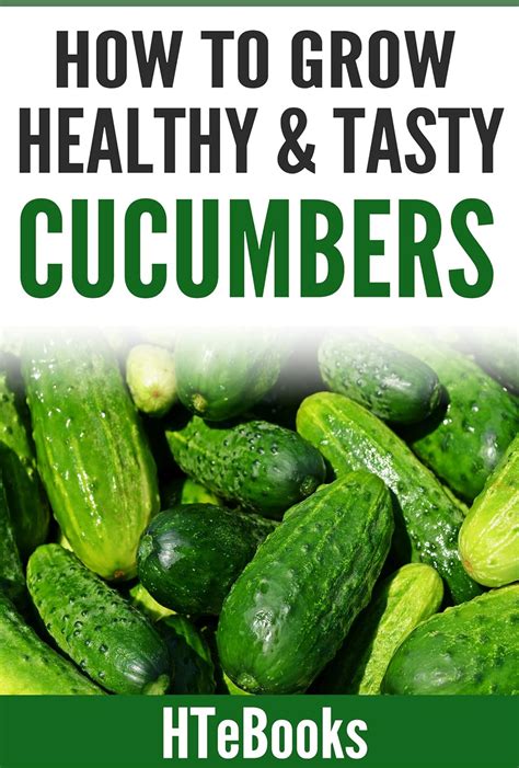 How To Grow Healthy and Tasty Cucumbers Quick Start Guide How To eBooks Book 48 PDF