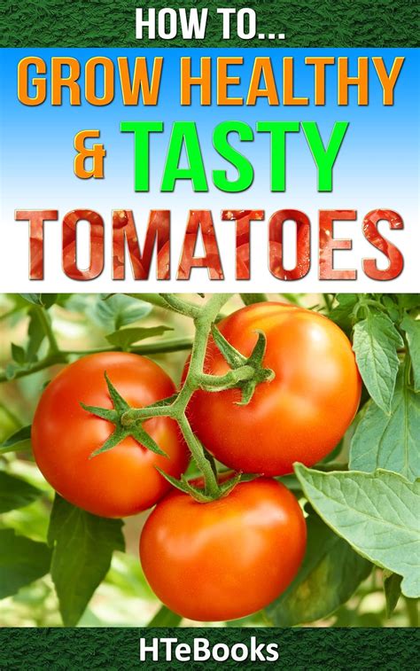 How To Grow Healthy and Tasty Tomatoes Quick Start Guide How To eBooks Book 46 Epub