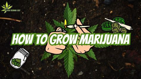 How To Grow Marijuana The Comprehensive Guide To Growing Marijuana Epub