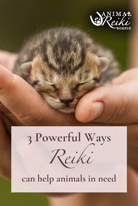 How To Help Animals With Reiki Epub