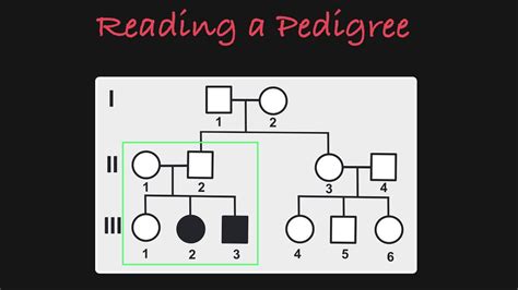 How To Interpret A Pedigree Chart