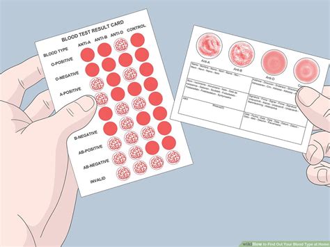 How To Know Your Blood Type in 10,000 Easy Steps