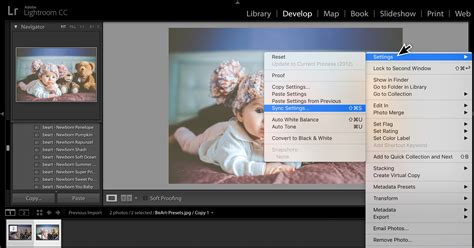 How To Make A Copy Of Lightroom Catalog