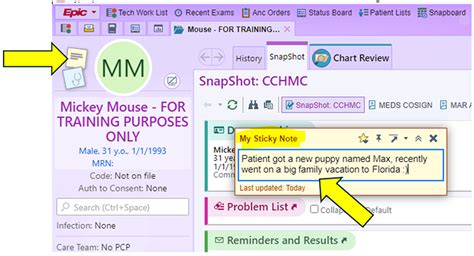 How To Make Sticky Note Public In Patient Chart Epic