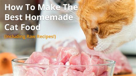 How To Make Your Own Cat Food Reader
