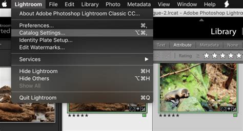 How To Rename A Lightroom Catalog In Mac