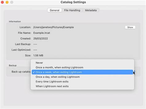 How To Use A Backup Catalog In Lightroom