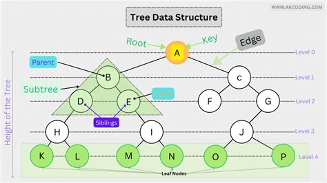 How Would You Structure A Database Cataloging Trees
