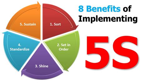 How the 5S System Benefits Olive Green Businesses