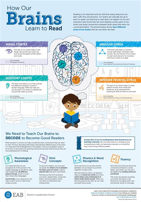 How the Brain Learns Reader