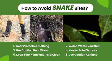 How to Avoid Anaconda Bites