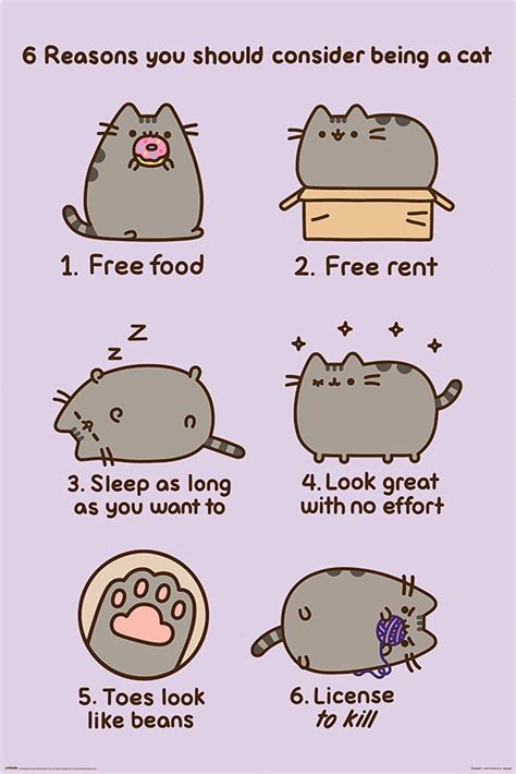 How to Be a Cat PDF