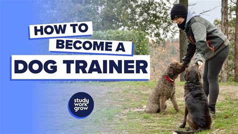 How to Become a Dog Trainer in 10 Easy Steps