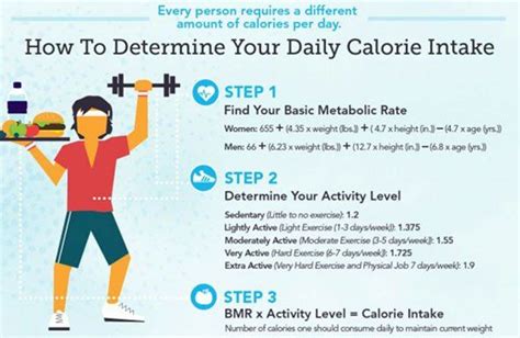 How to Calculate Your Daily Required Calories in 7 Painless Steps