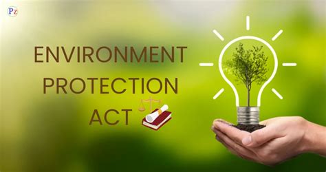 How to Care for the Environment: A Comprehensive Guide