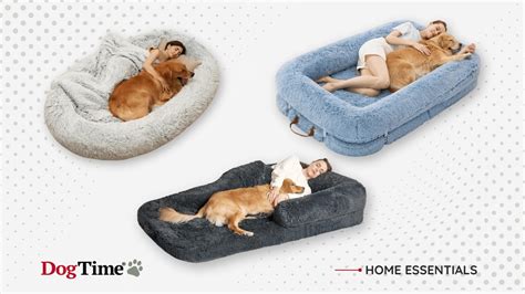 How to Choose a Human Dog Bed: The Ultimate 2025 Guide