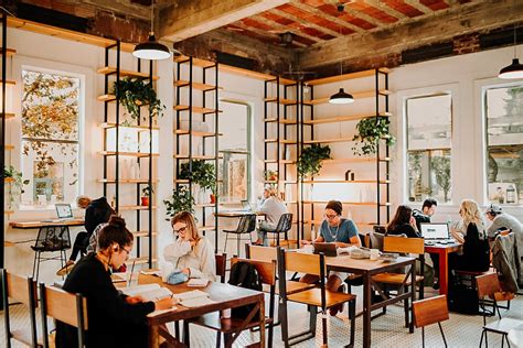 How to Choose the Best Coffee Shop for Studying