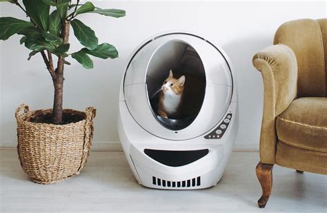 How to Choose the Best Robot Litter Box Disinfectant