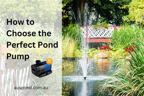 How to Choose the Perfect Pond Lighthouse