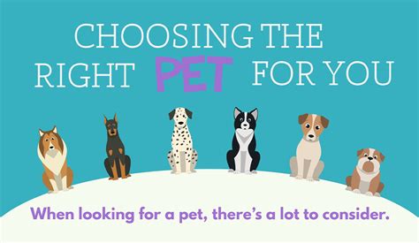 How to Choose the Right Fable Pet for You